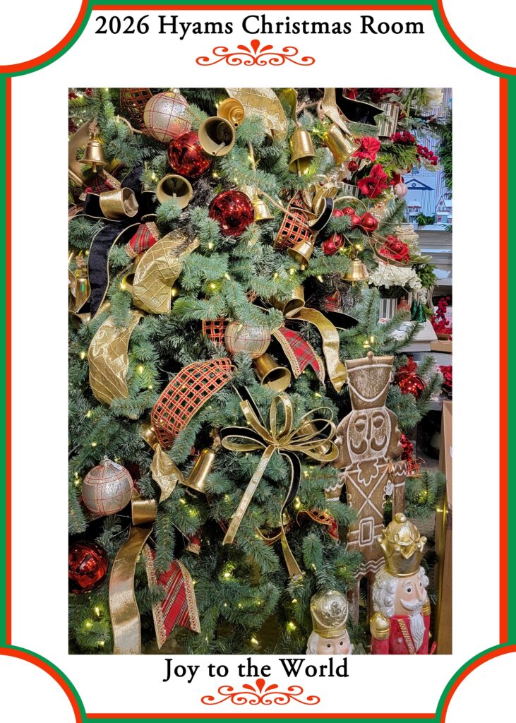 11 (2026 Xmas)