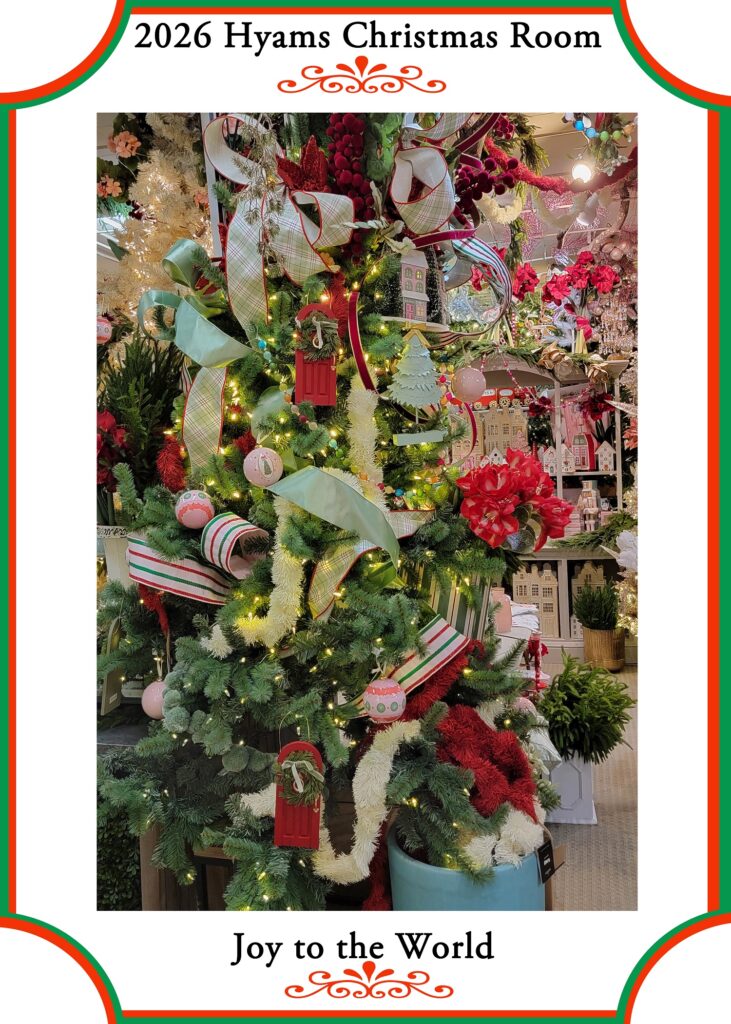12 (2026 Xmas)
