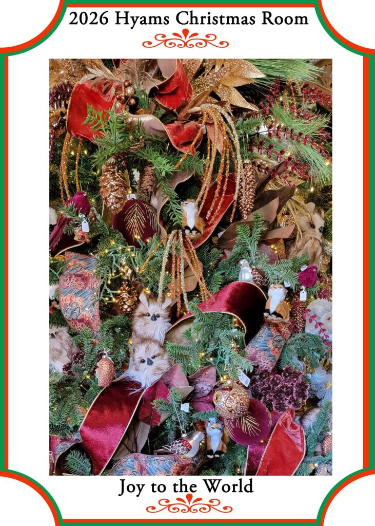 13 (2026 Xmas)