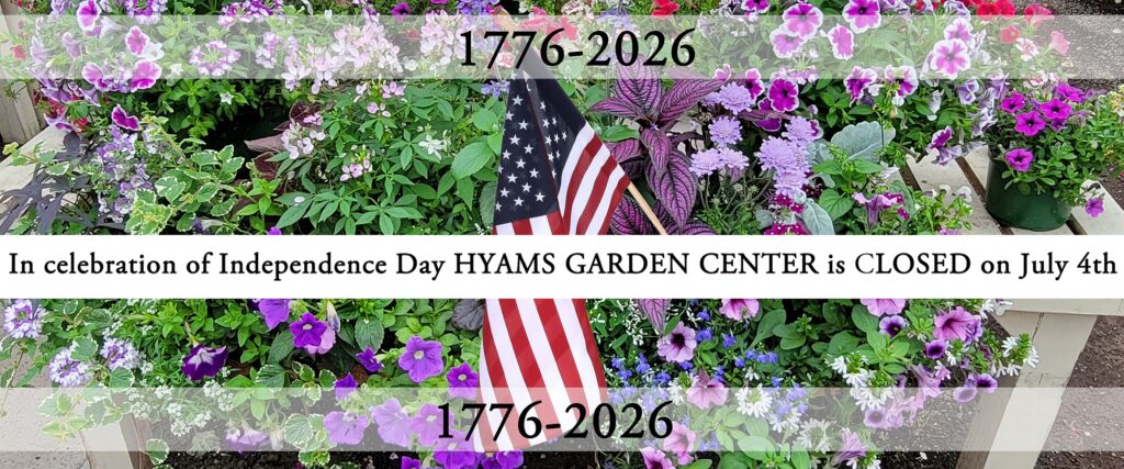 2026 July 4 (Header)