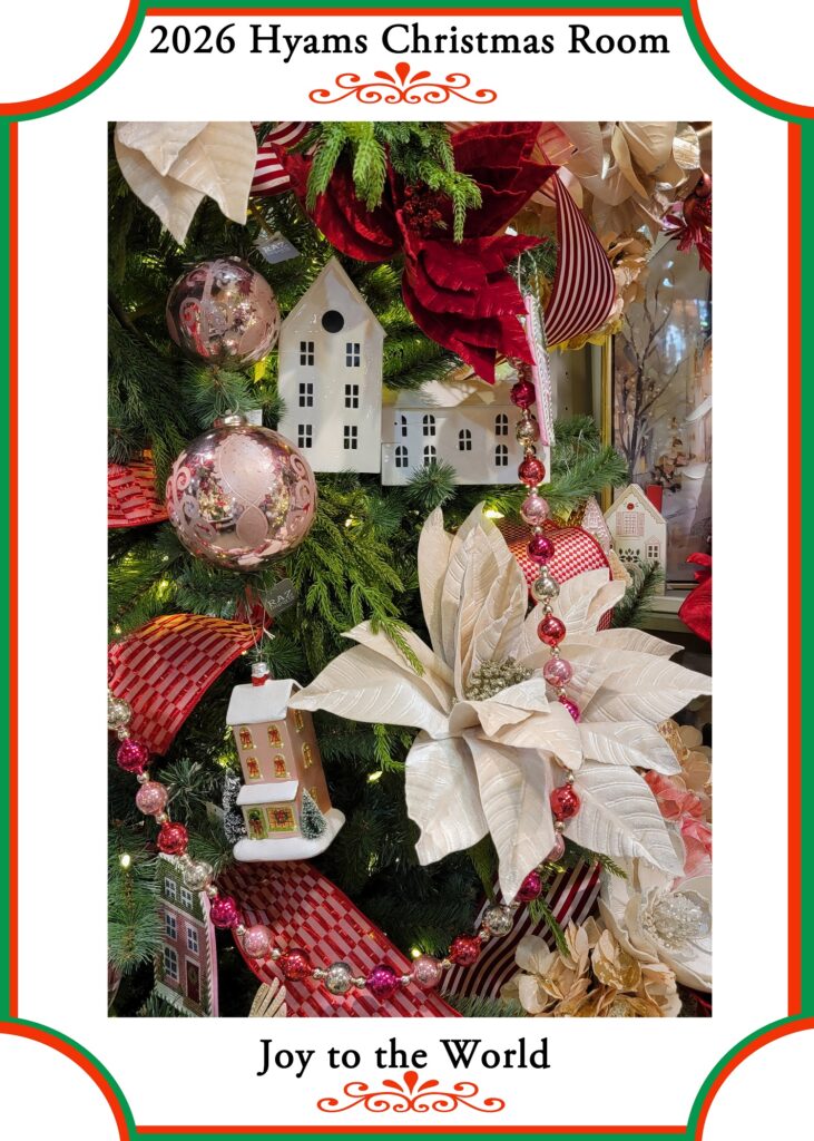 21 (2026 Xmas)
