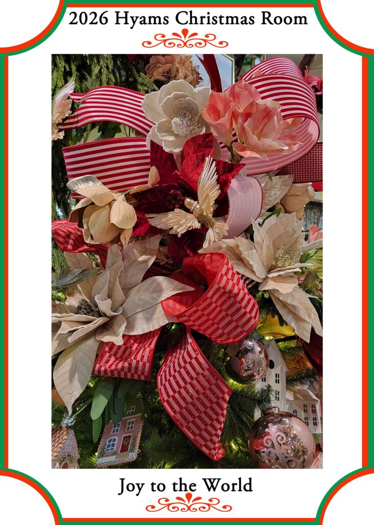 22 (2026 Xmas)