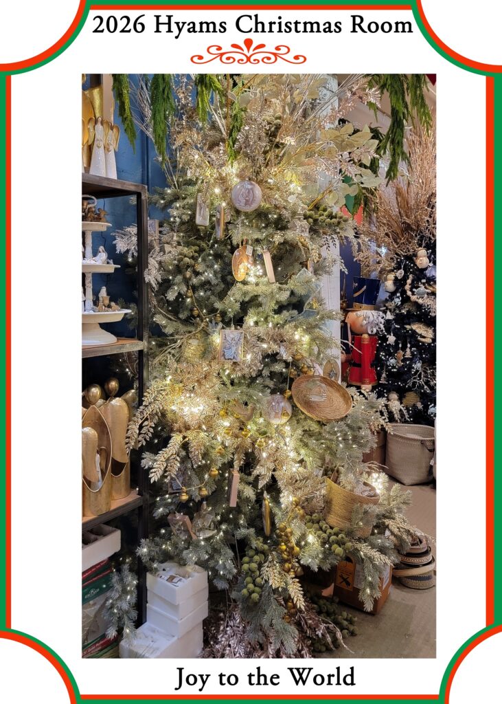 3 (2026 Xmas)