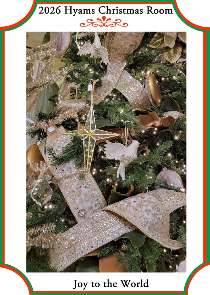 8 (2026 Xmas)