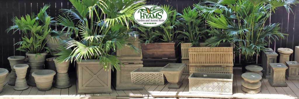 Hyams Garden Center And Accent Store Serving Greater Charleston Area With Quality Variety Professionalism Since 1981
