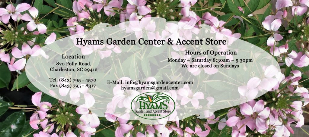 Sitemapcdatahttpabckniqoocomhyams Garden Accent Store