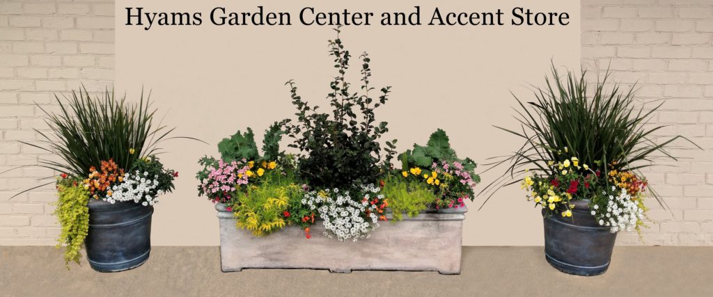Hyams Garden Center And Accent Store Serving Greater Charleston Area With Quality Variety Professionalism Since 1981