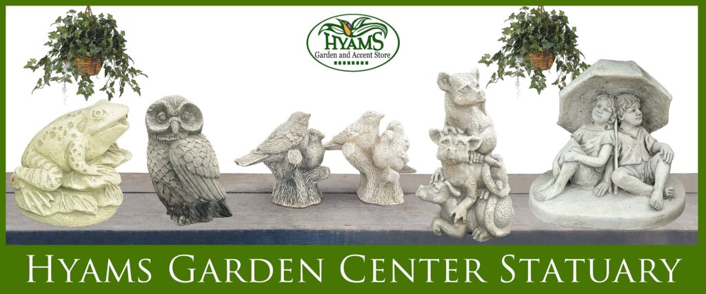 2022 Hyams Header (Statuary)