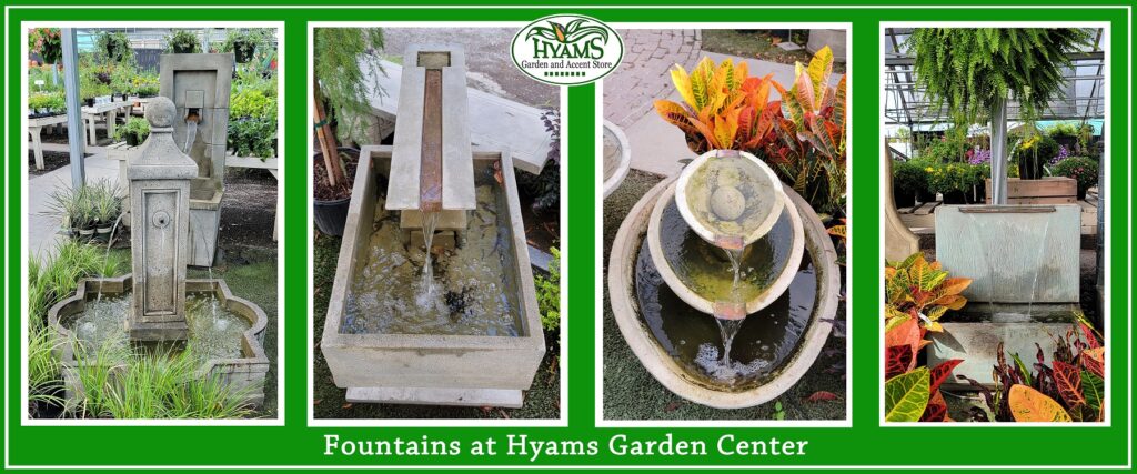 Header (Fountains) 2023