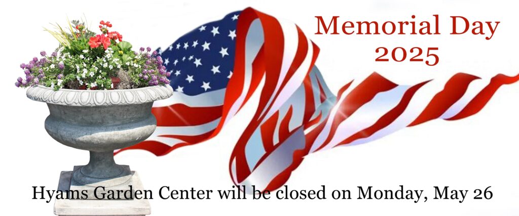Memorial Day 2025