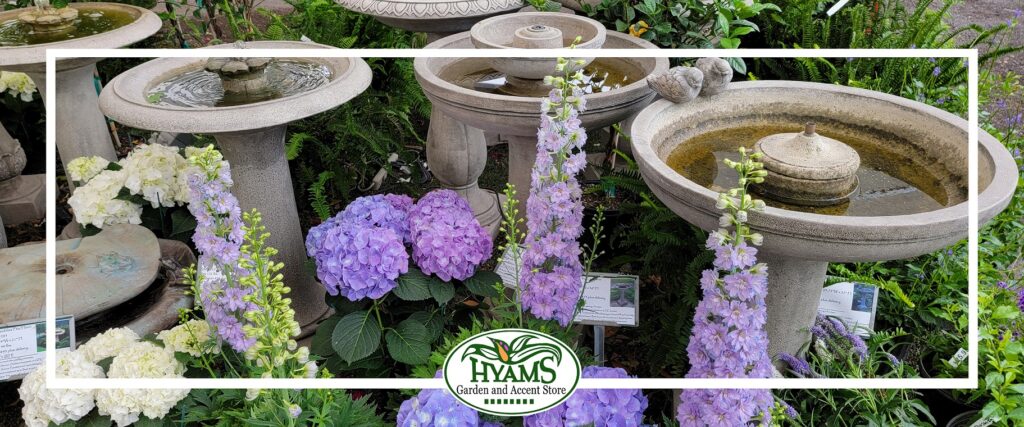 HGC Fountains (Header)