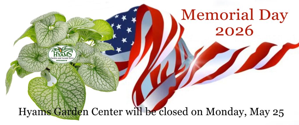 Memorial Day 2026